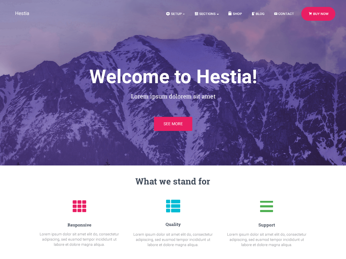 Hestia Tema Ekran Görüntüsü